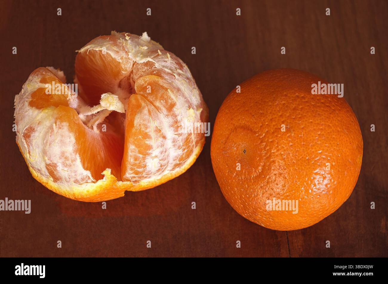 Mandarines très sucrées fraîchement cueillies dans le verger. Banque D'Images