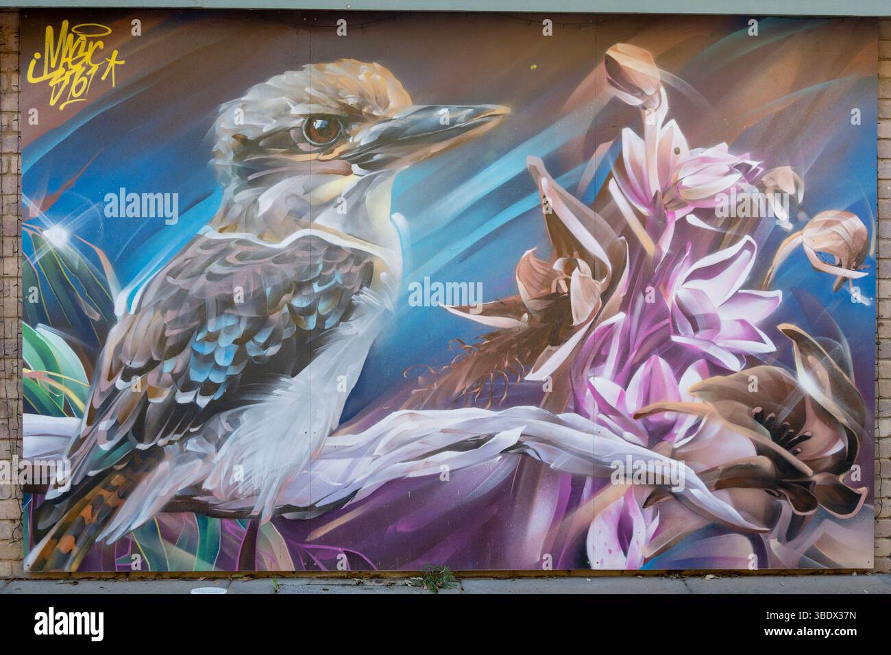 Street Art par Andrew Bourke, St Andrews, Victoria, Australie Banque D'Images