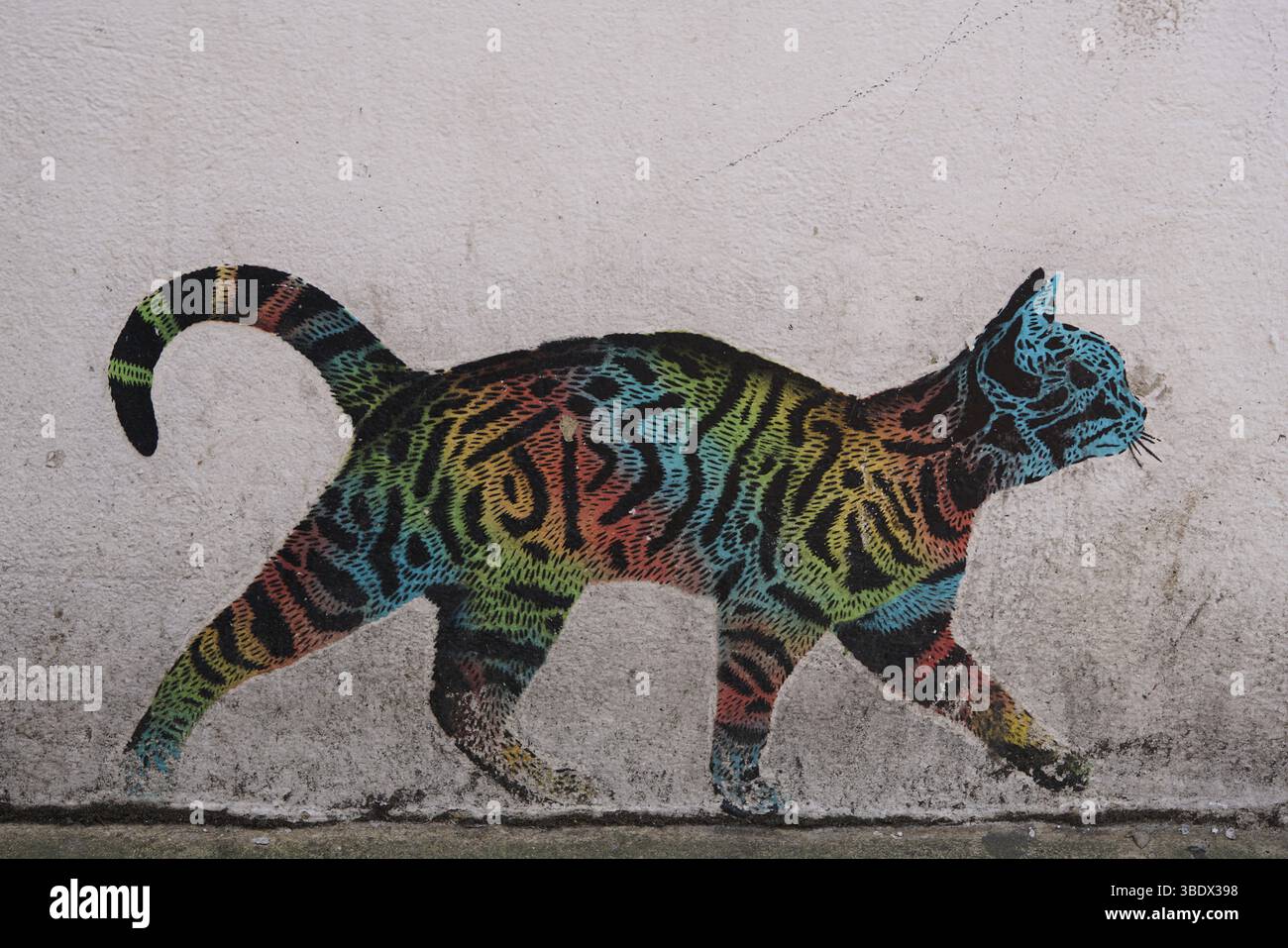 Cat Graffiti Art multicolore sur un mur urbain blanc par JPS. Chichester, Royaume-Uni Banque D'Images