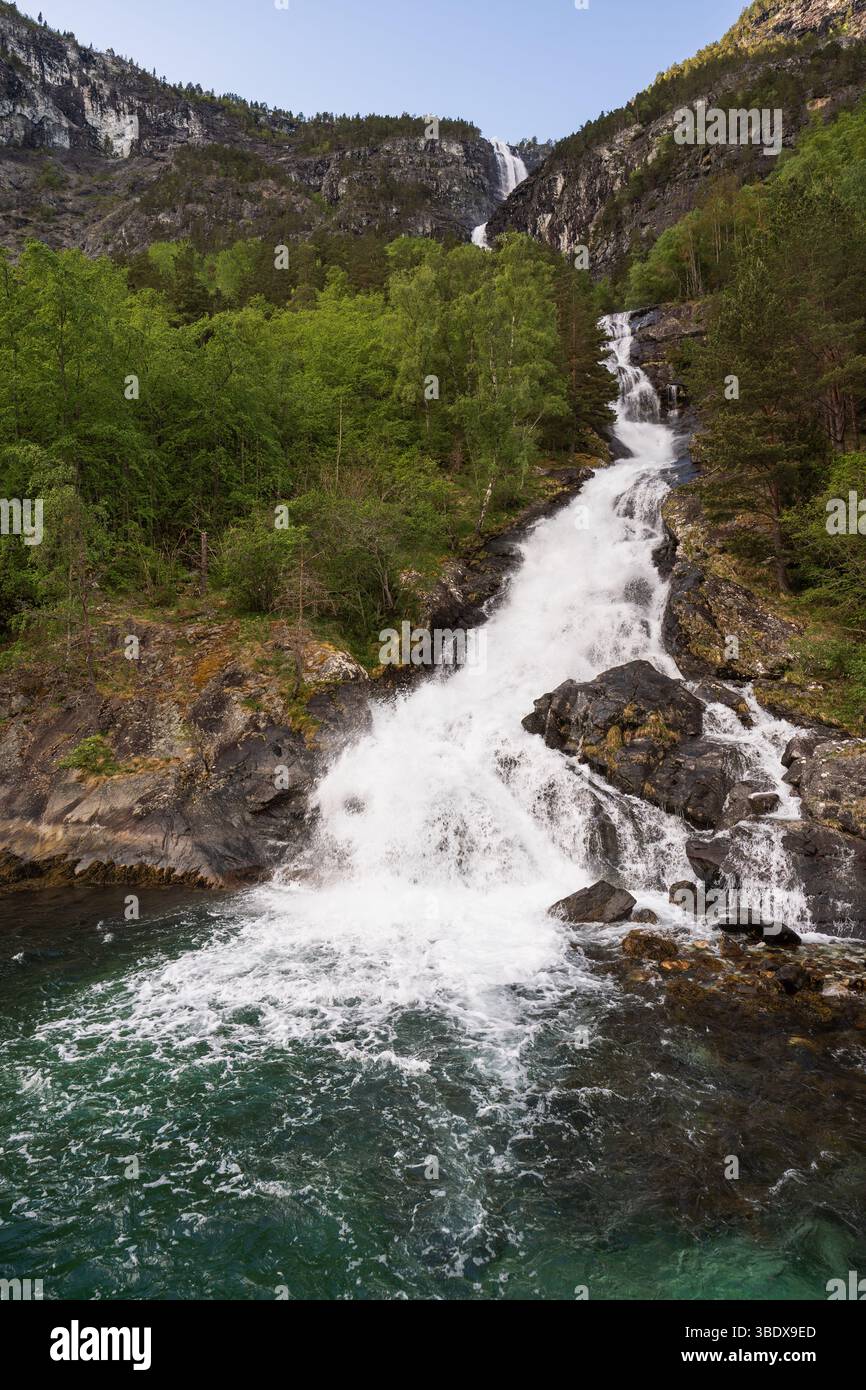 La nature de la Norvège : cascade de Lægdafossen dans le Sognefjord, une impressionnante vue verticale de son ruisseau précipité dans la verdure estivale. Banque D'Images