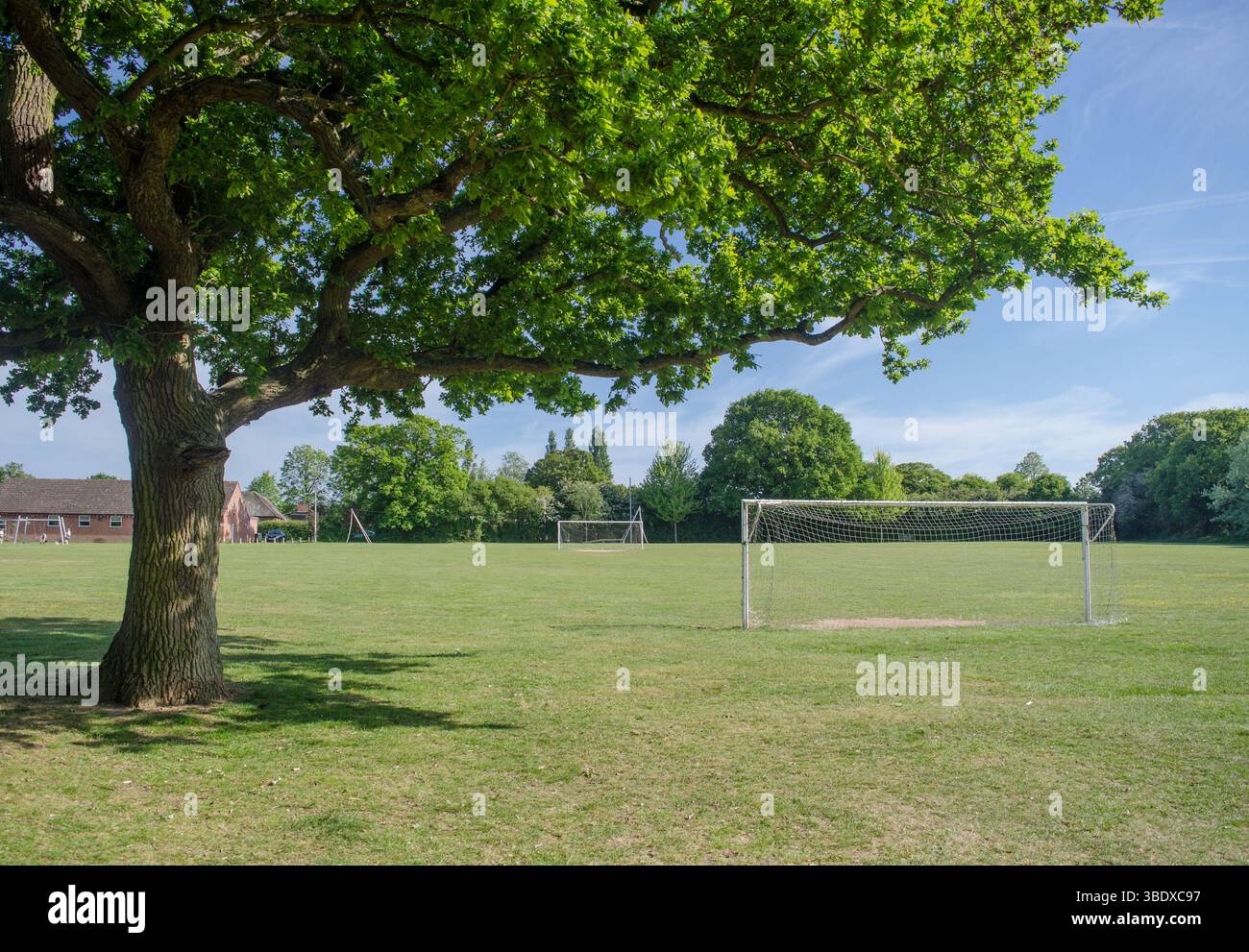 Un parc de football de village avec des chênes en pleine croissance de feuilles dans l'Essex Angleterre Royaume-Uni Banque D'Images