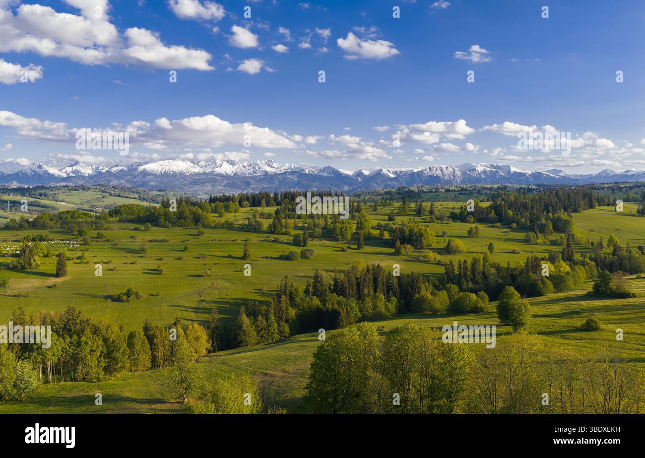 Des collines verdoyantes s'étendent à travers la vue, encadrées par les majestueuses montagnes Tatra enneigées et un ciel bleu clair parsemé de nuages moelleux sur un ensoleillé Banque D'Images