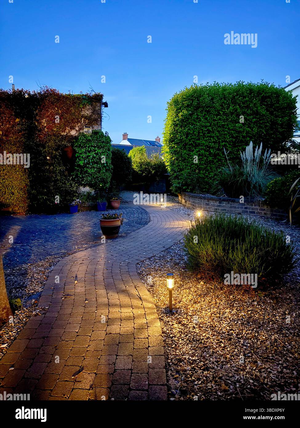 Un jardin irlandais au coucher du soleil éclairé par des lumières solaires Banque D'Images