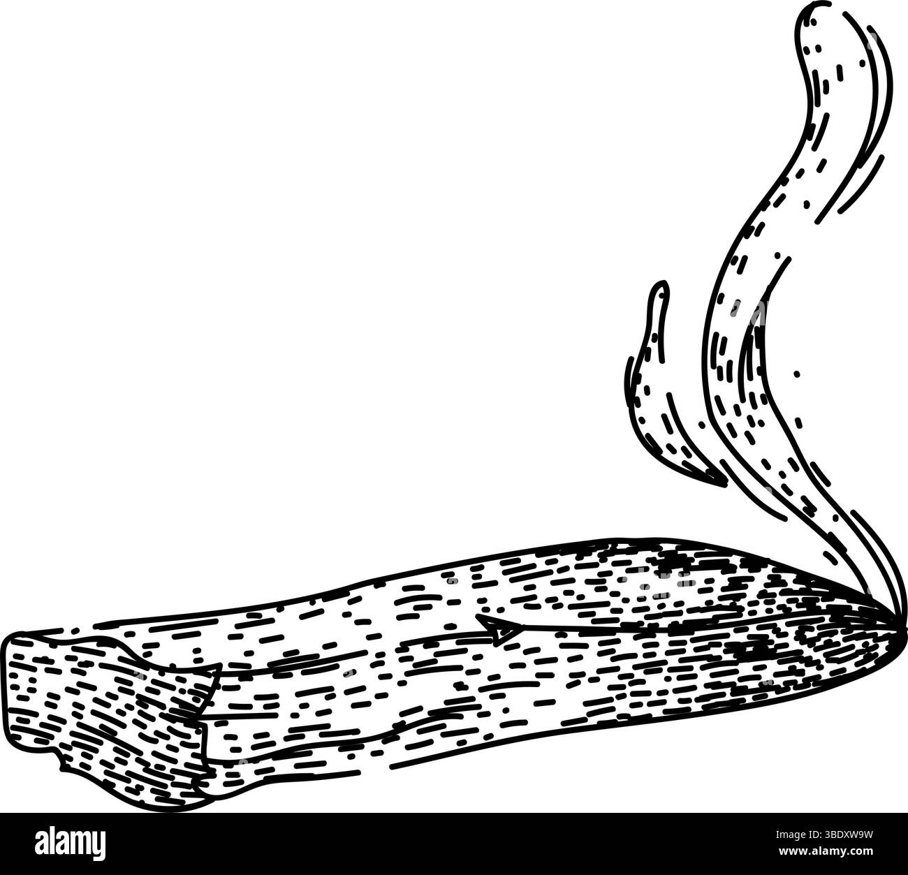 maculage palo santo esquisse dessin à la main vecteur Illustration de Vecteur