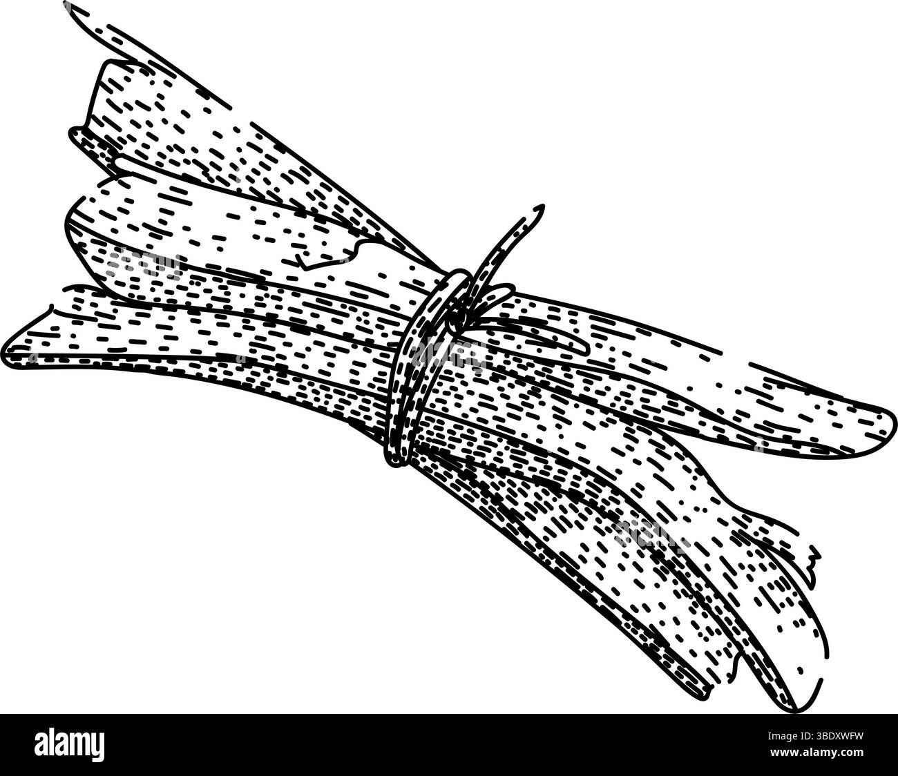 vecteur dessiné à la main par le dessin de palo santo en bois Illustration de Vecteur
