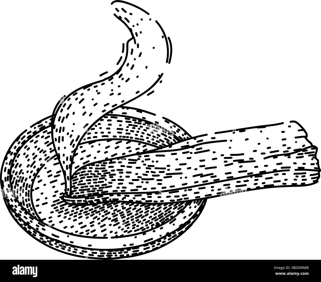 rituel palo santo esquisse dessin à la main vecteur Illustration de Vecteur