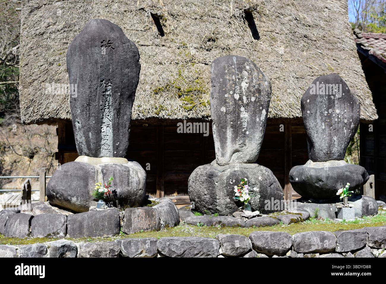 Village Shirakawago, Alpes japonaises, Japon, Asie. Banque D'Images