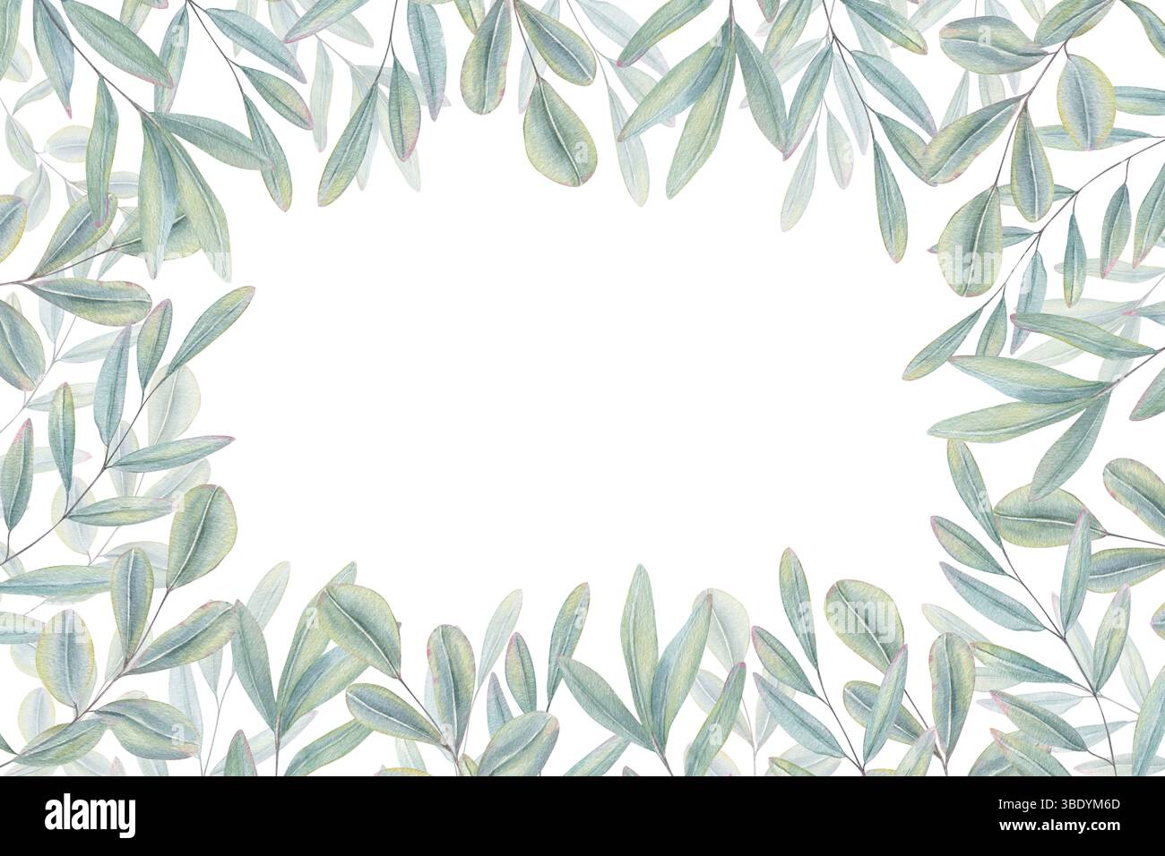 Branches de feuilles d'eucalyptus dans des couleurs pastel rectangle aquarelle cadre isolé fond. Espace de bordure de plante peint à la main pour le texte Banque D'Images