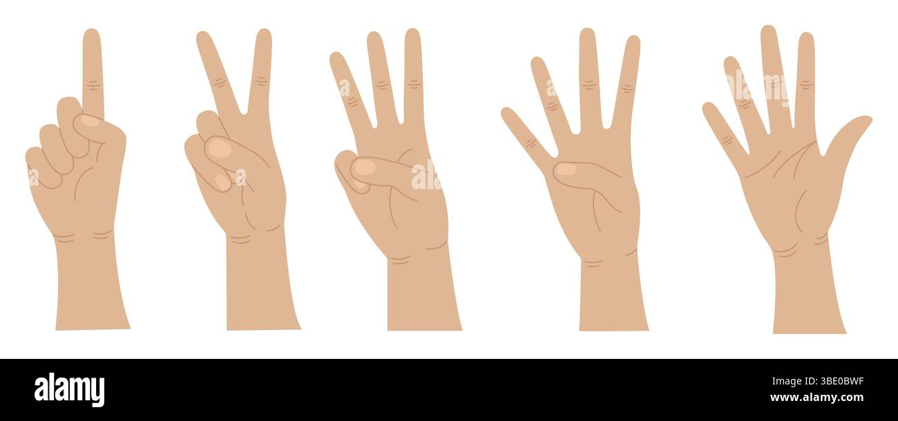 Les mains comptent de un à cinq. Les gestes des mains. Doigts de comptage. Illustration vectorielle. Illustration de Vecteur