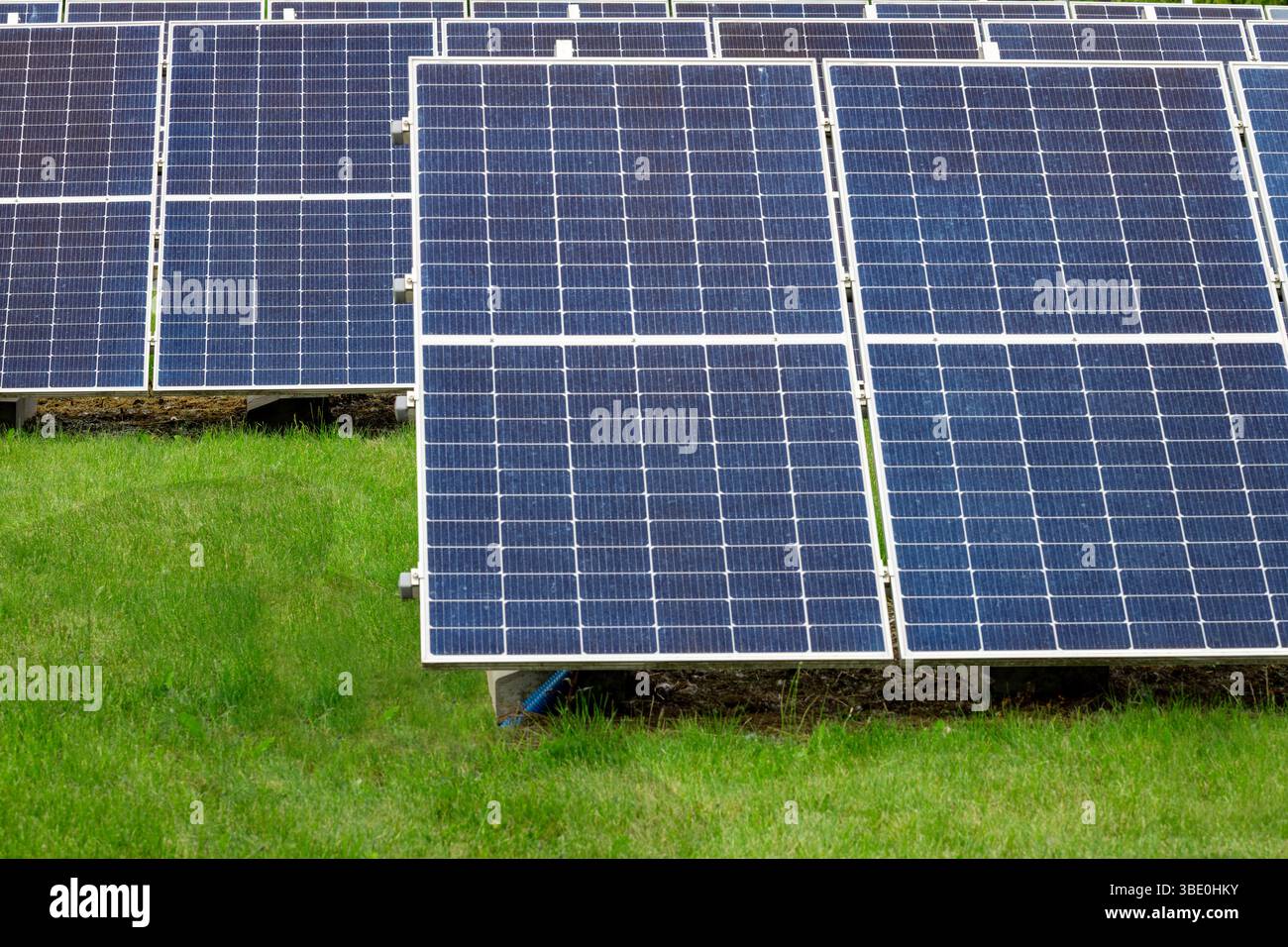 Panneaux solaires montés au sol sur herbe verte Banque D'Images