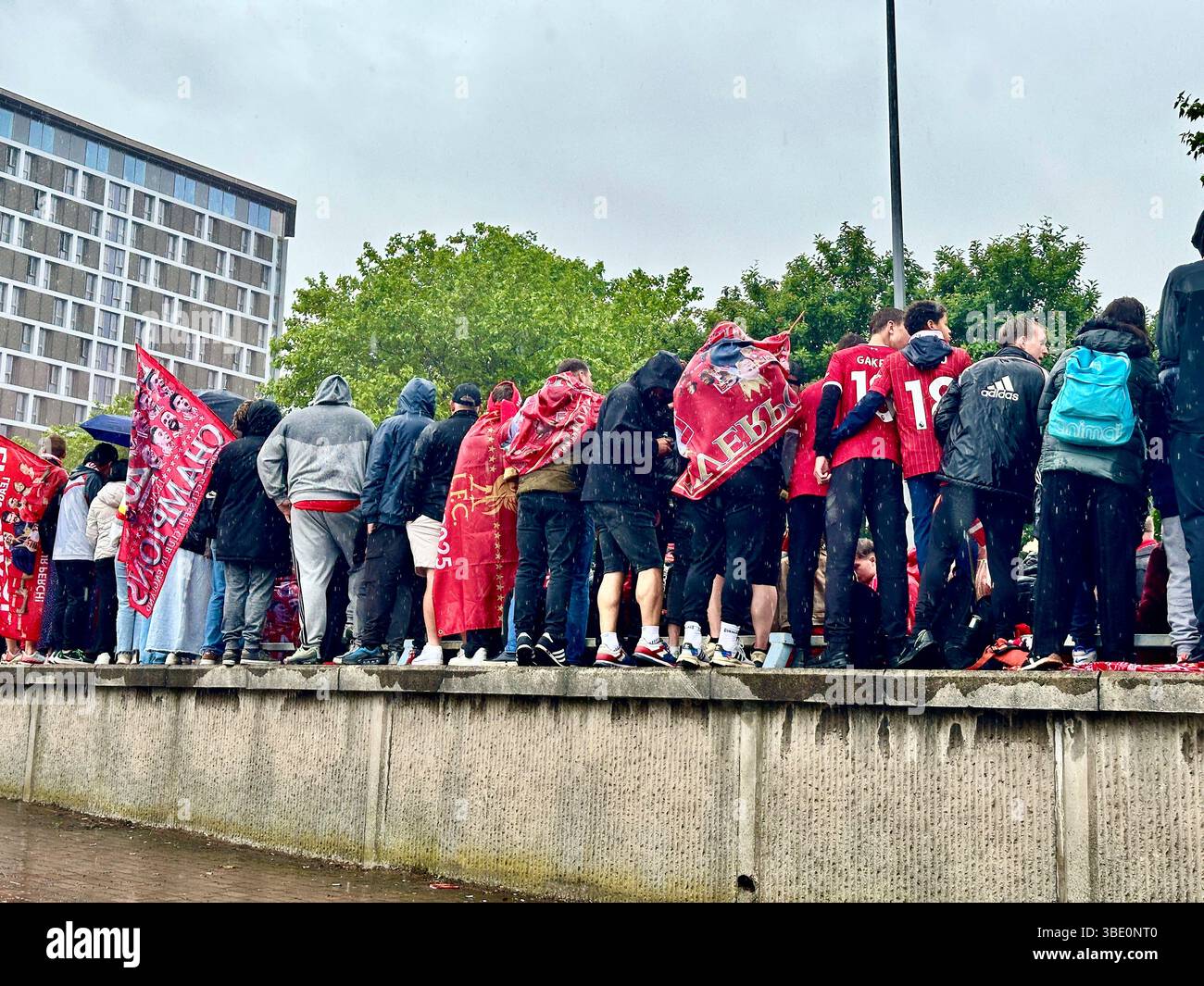 Les fans de Liverpool arborent des drapeaux rouges et se rassemblent sur un mur sous la pluie sur Hunter Street avant le défilé de la victoire de l'équipe, Liverpool, Royaume-Uni, 26 mai 2025. - Image de stock capturée avec un smartphone