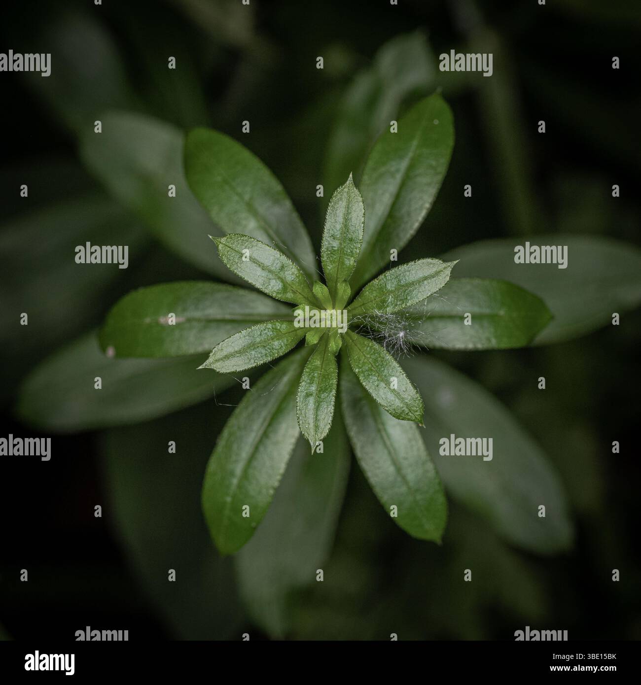 Usine dans le sud de l'Indiana Banque D'Images