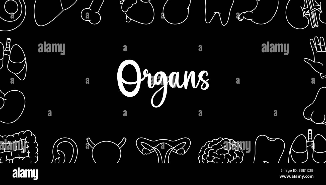 Bannière horizontale des organes humains. Anatomie des organes internes. Cœur, reins, vésicule biliaire, dent, cerveau, œil, main, nez, os, oreille, vessie. Illustration de Vecteur