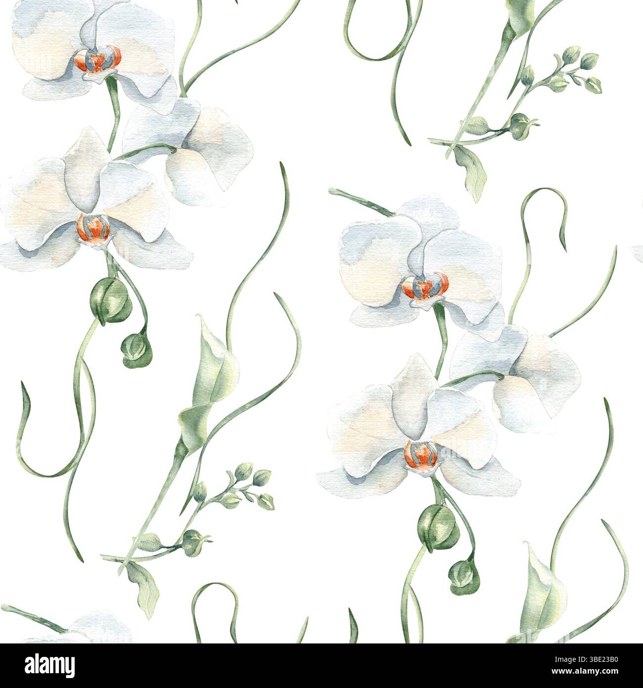 Orchidées blanches, fleurs de lis et tiges douces aquarelle sans couture motif isolé. Élégant fond de répétition florale dessiné à la main pour les textiles de mariage Banque D'Images