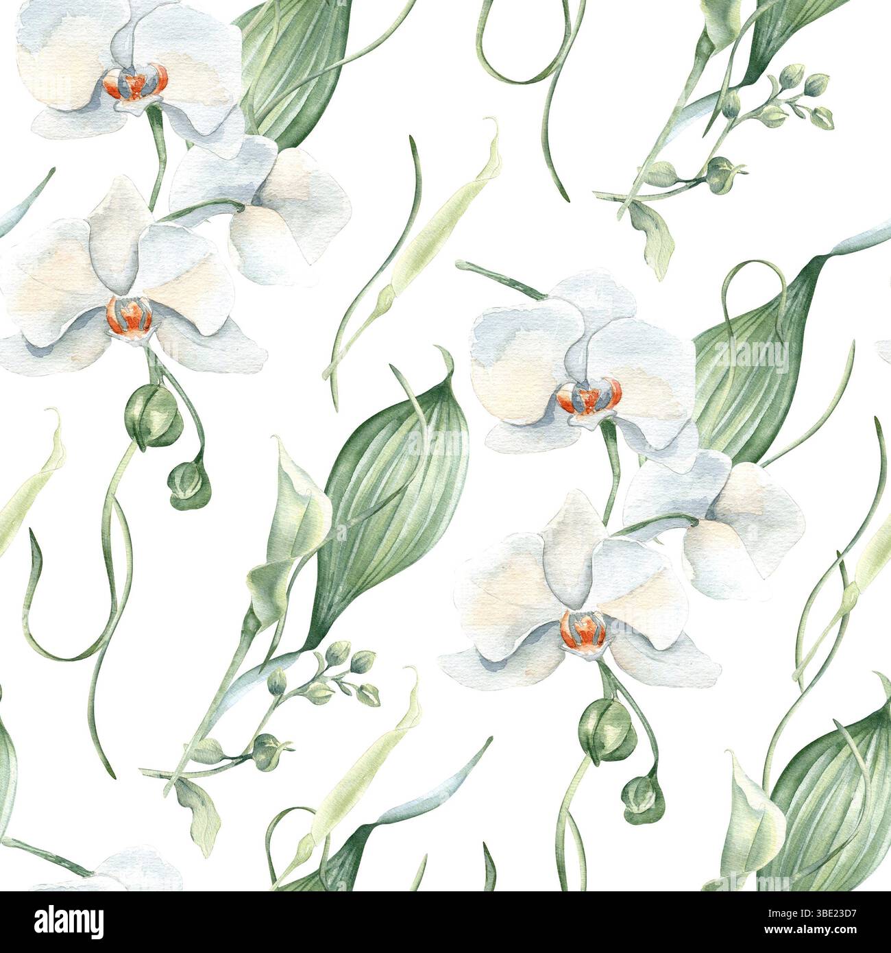 Motif floral sans couture avec orchidées blanches, bourgeons de lis et feuilles vertes douces isolées. Fleurs pastel aquarelle sur fond répété peint à la main Banque D'Images