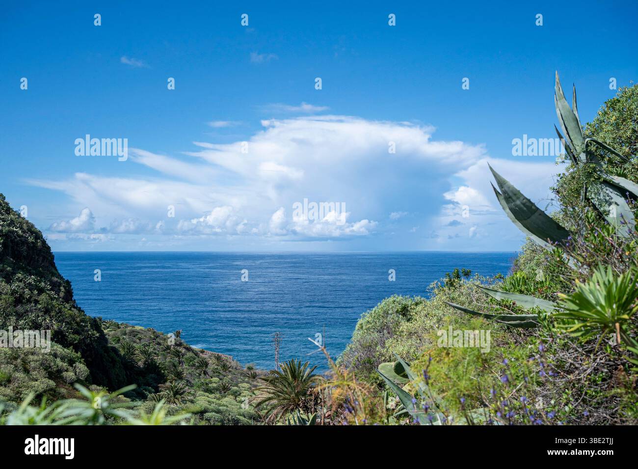 Un ciel nuageux avec un gros nuage au milieu. Le ciel est bleu et l'océan est en arrière-plan Banque D'Images