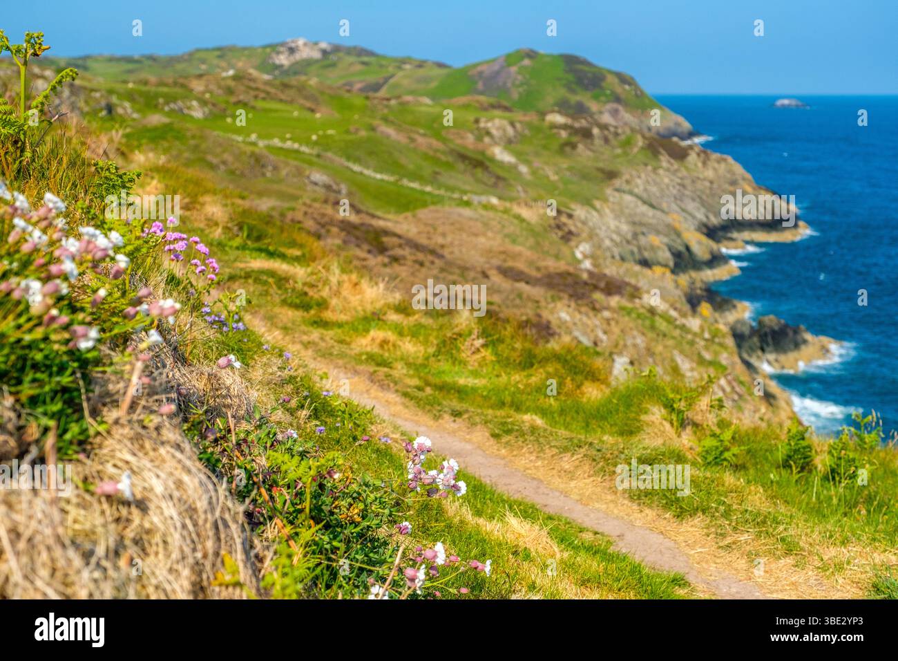 Le chemin de la côte du pays de Galles sur la côte nord d'Anglesey / Ynys mon, pays de Galles Banque D'Images