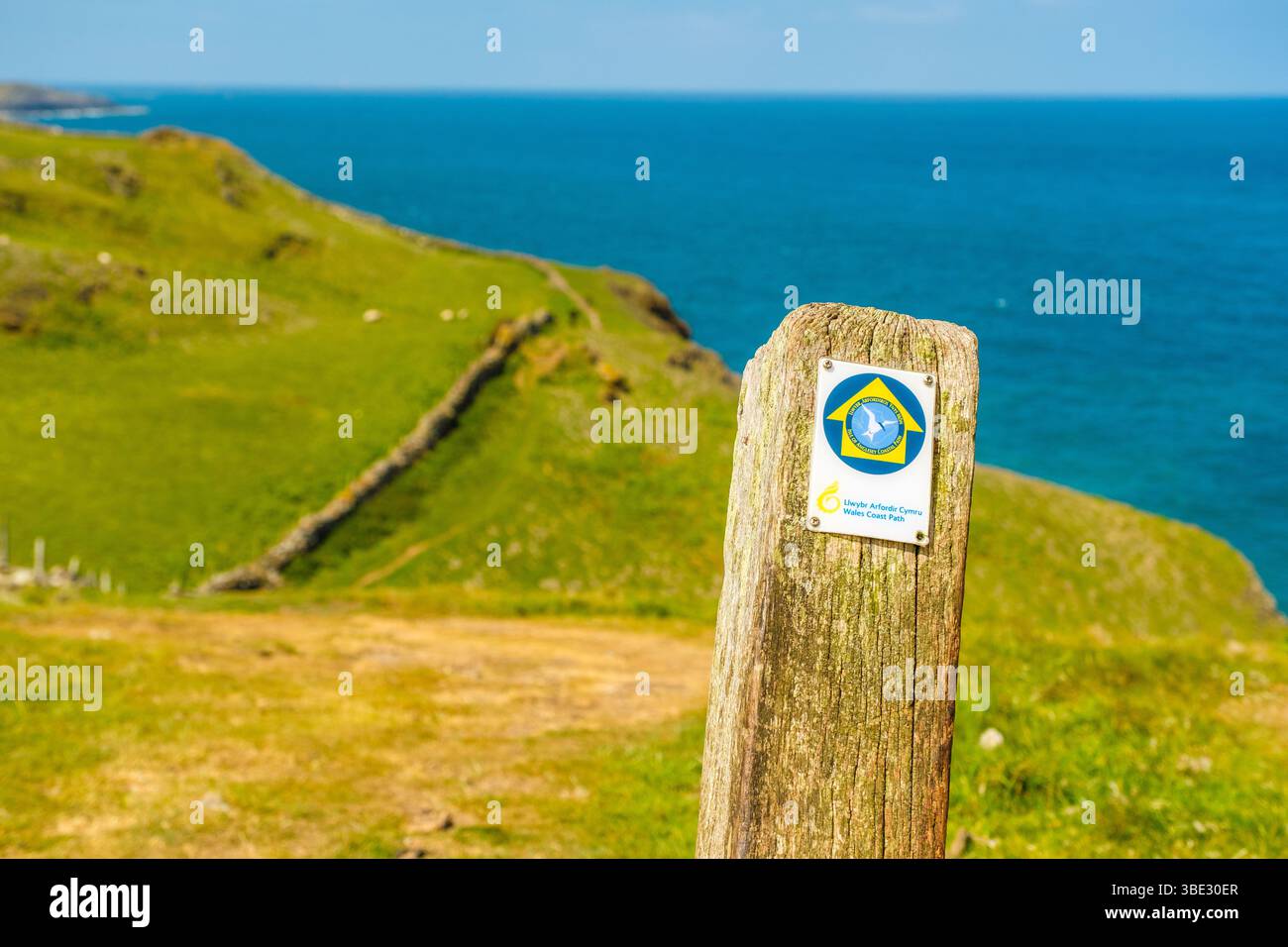 Le chemin de la côte du pays de Galles sur la côte nord d'Anglesey / Ynys mon, pays de Galles Banque D'Images