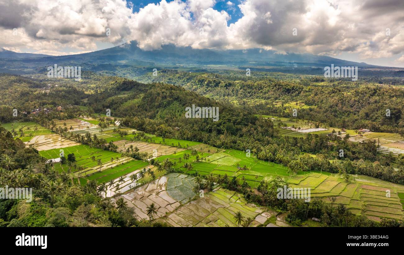 Indonésie, île de Java, province de Banyuwangi, Java oriental, rizières du village de Segobang (vue aérienne) Banque D'Images Indonésie, île de Java, province de Banyuwangi, Java oriental, rizières du village de Segobang (vue aérienne) Banque D'Images