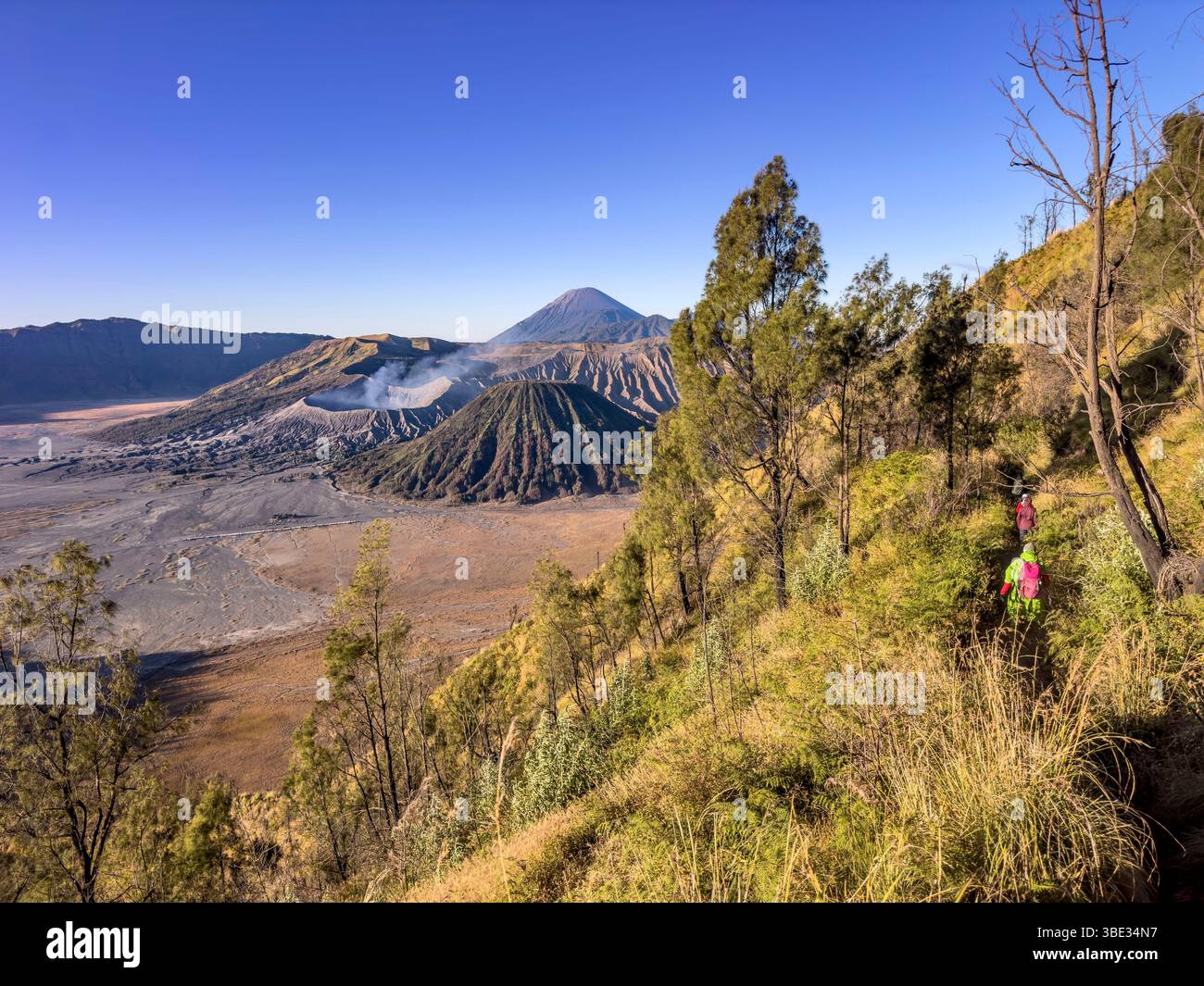 Indonésie, île de Java, province de Java oriental, massif de Tengger, parc national bromo-Tengger-Semeru, randonnée dans la caldeira Banque D'Images Indonésie, île de Java, province de Java oriental, massif de Tengger, parc national bromo-Tengger-Semeru, randonnée dans la caldeira Banque D'Images