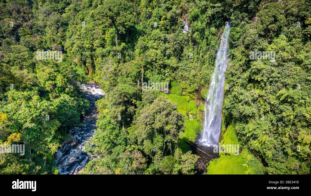 Indonésie, île de Sumatra, province de Sumatra Ouest, Solok, cascade de Puti Dayang dans la forêt tropicale (vue aérienne) Banque D'Images
