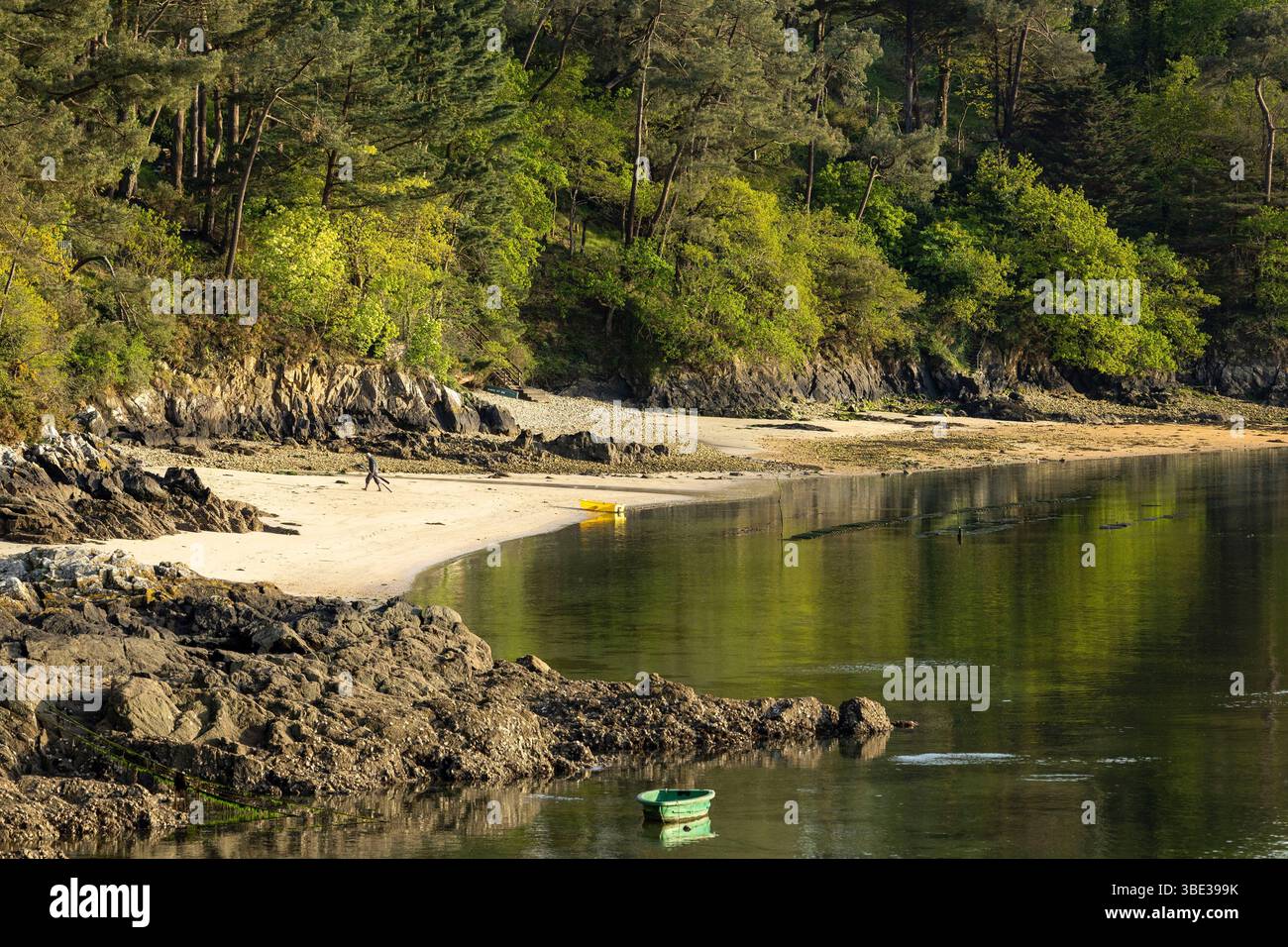 France, Finistère, Riec-sur-Belon, le Belon ria Banque D'Images France, Finistère, Riec-sur-Belon, le Belon ria Banque D'Images
