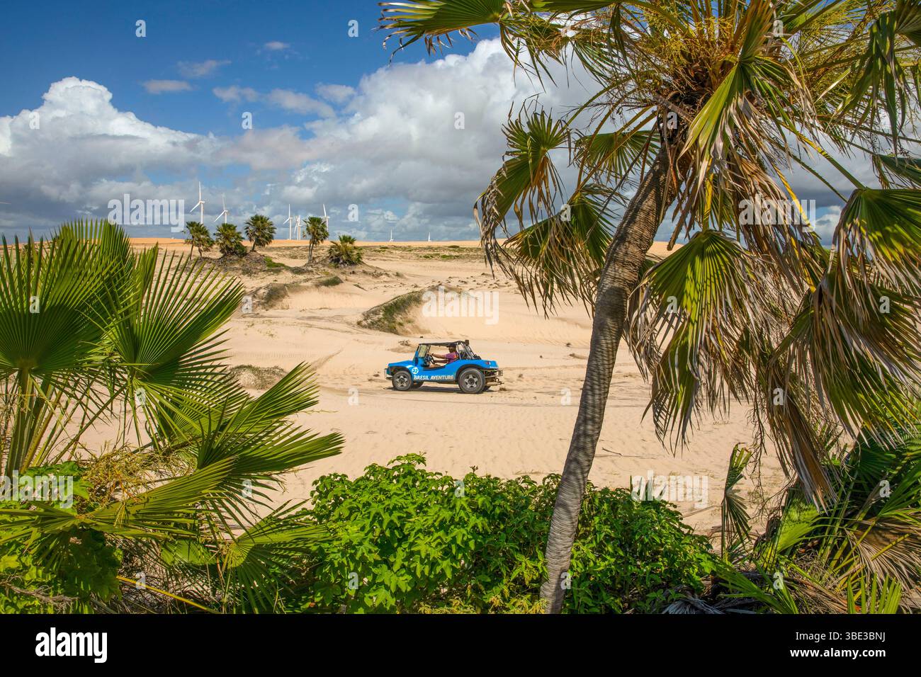 Brésil, Nordeste, Ceara, buggy filant sur le sable à travers une oasis de palmiers Banque D'Images