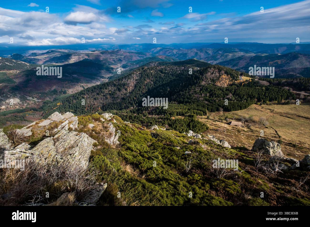 France, Ardèche, Sainte-Eulalie, Mont Gerbier de jonc, sources de la Loire Banque D'Images