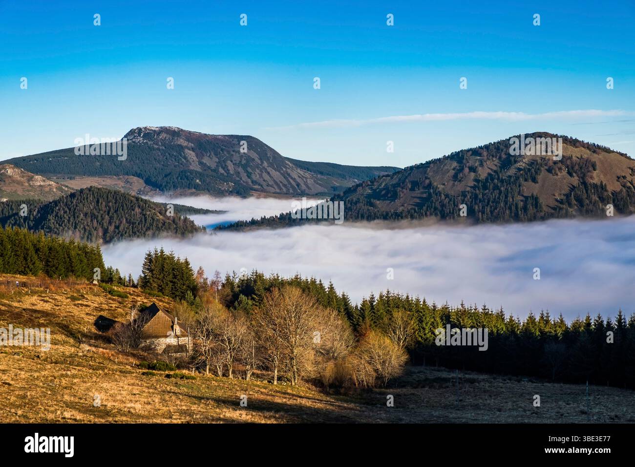 France, Ardèche, Sainte-Eulalie, Mont Gerbier de jonc, sources de la Loire Banque D'Images