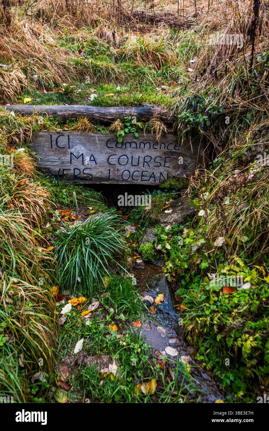 France, Ardèche, Sainte-Eulalie, Mont Gerbier de jonc, sources de la Loire Banque D'Images