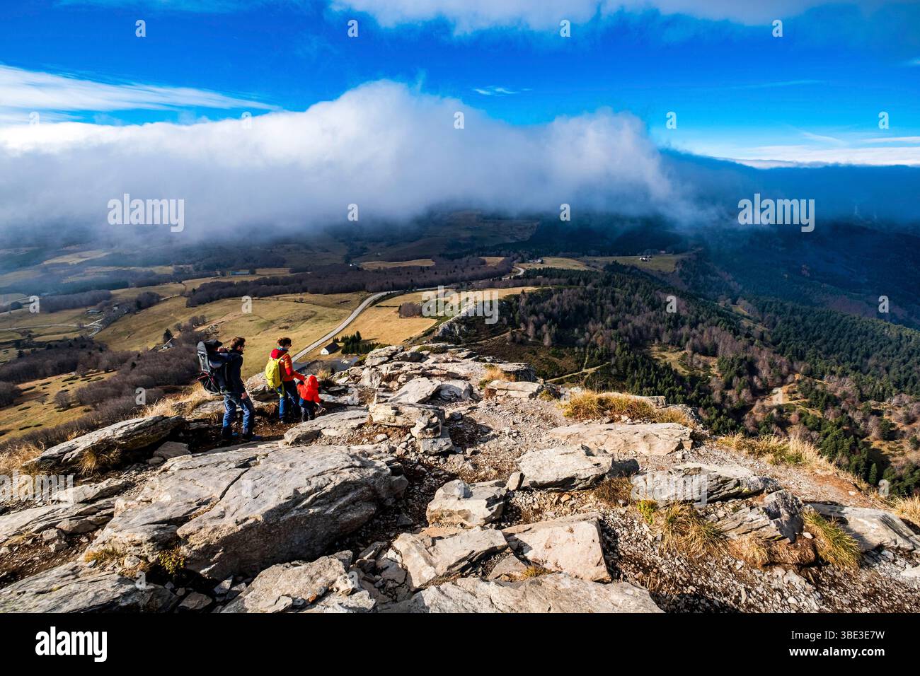 France, Ardèche, Sainte-Eulalie, Mont Gerbier de jonc, sources de la Loire Banque D'Images