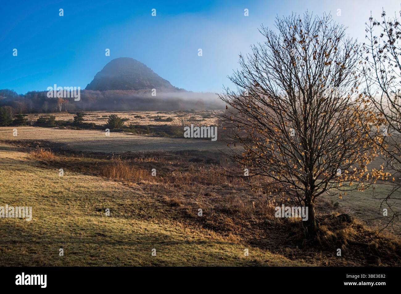 France, Ardèche, Sainte-Eulalie, Mont Gerbier de jonc, sources de la Loire Banque D'Images