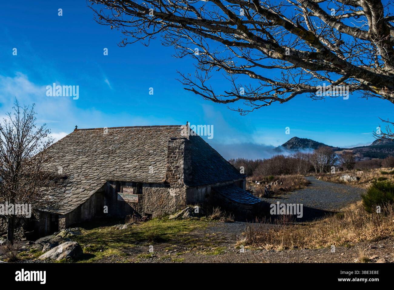 France, Ardèche, Sainte-Eulalie, Mont Gerbier de jonc, sources de la Loire Banque D'Images