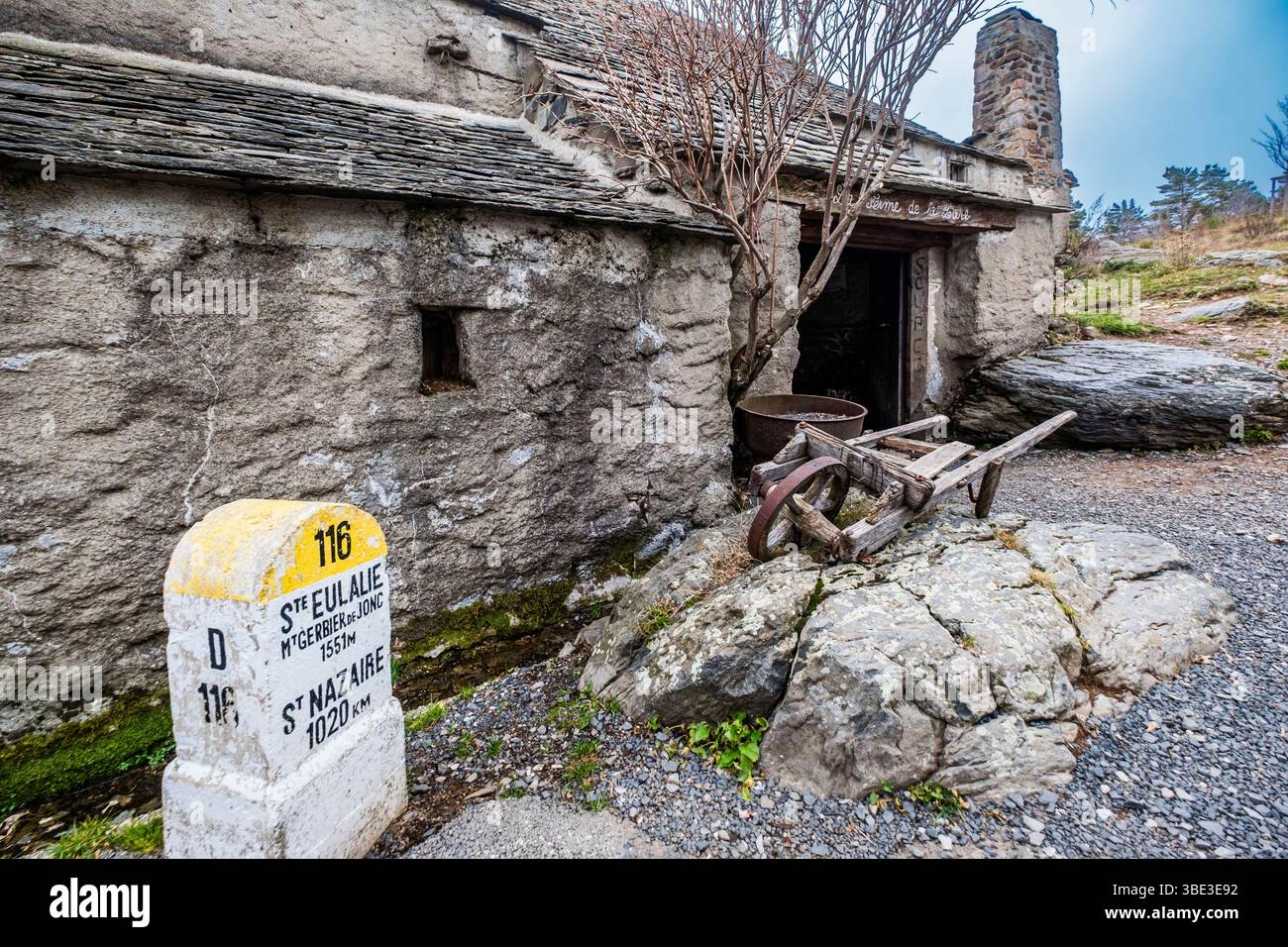 France, Ardèche, Sainte-Eulalie, Mont Gerbier de jonc, sources de la Loire Banque D'Images