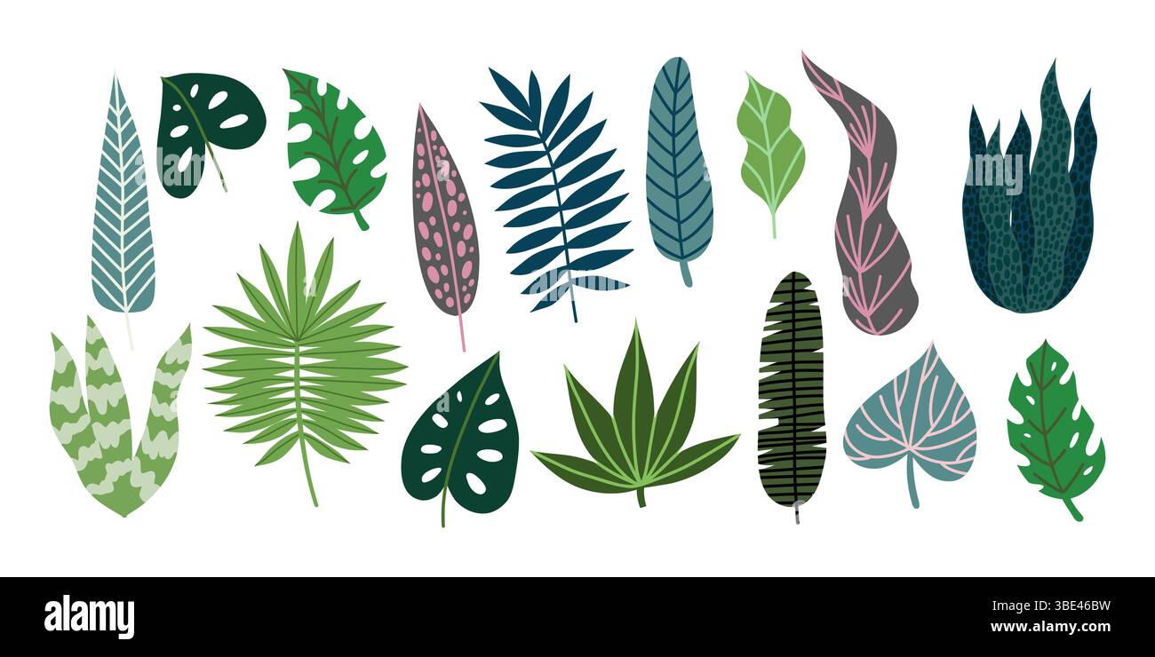 Ensemble de feuilles tropicales, illustration vectorielle plate Illustration de Vecteur