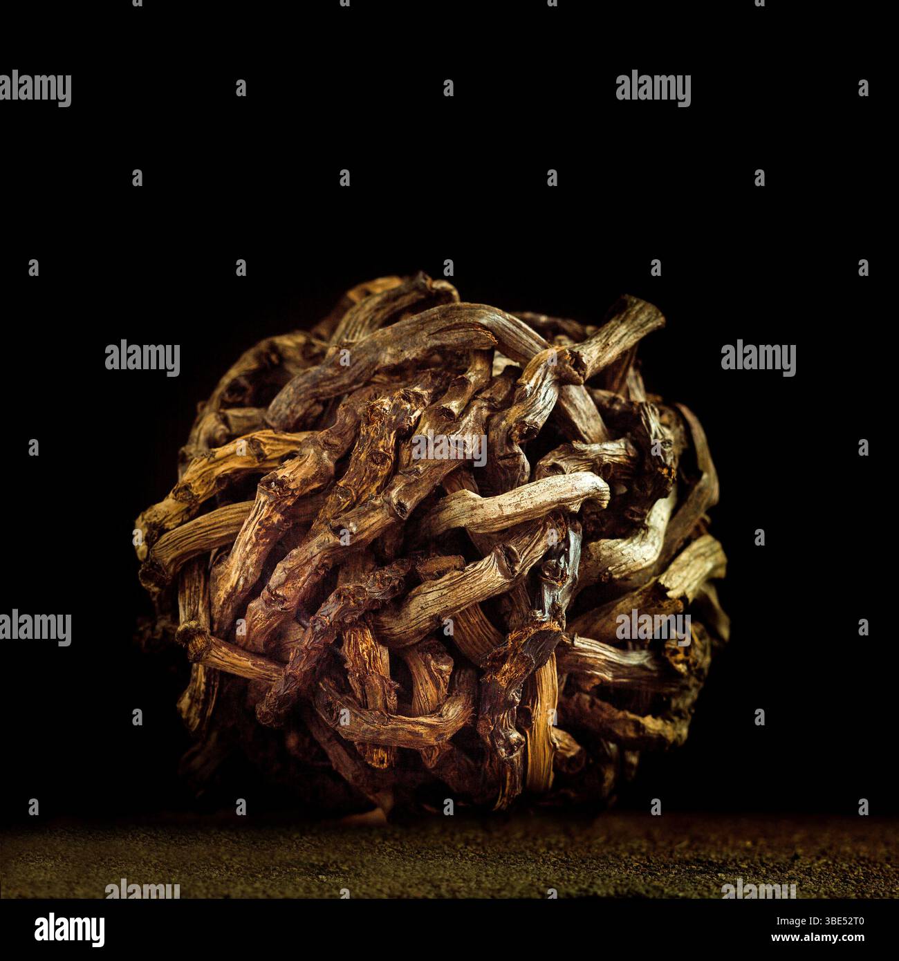 L'illustration présente une forme sphérique détaillée formée de brindilles entrelacées. Un éclairage doux met en valeur les textures Banque D'Images