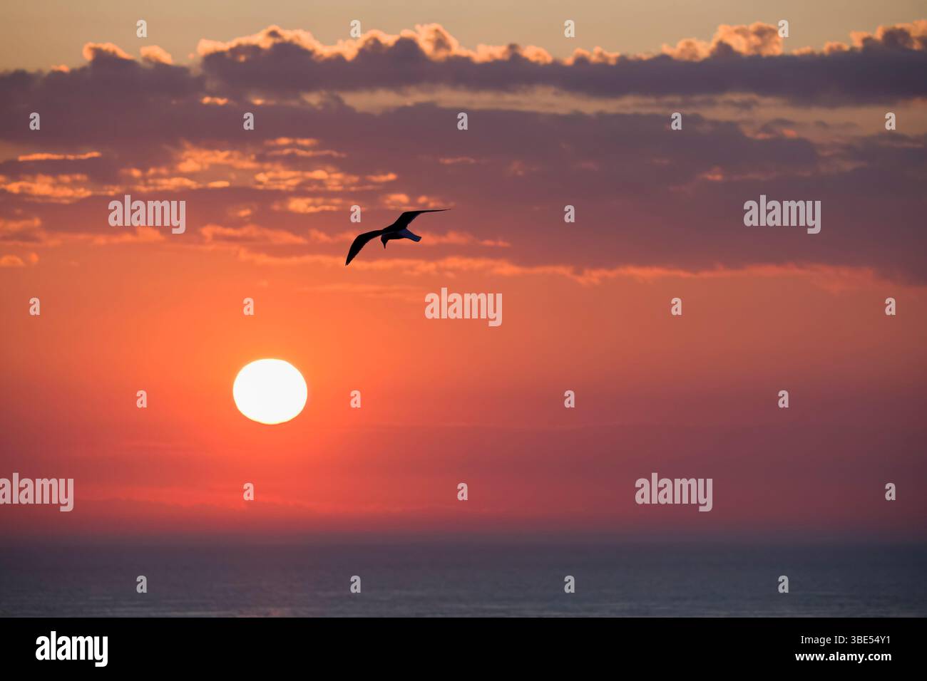 Coucher de soleil sur Skokholm Island Wales Banque D'Images