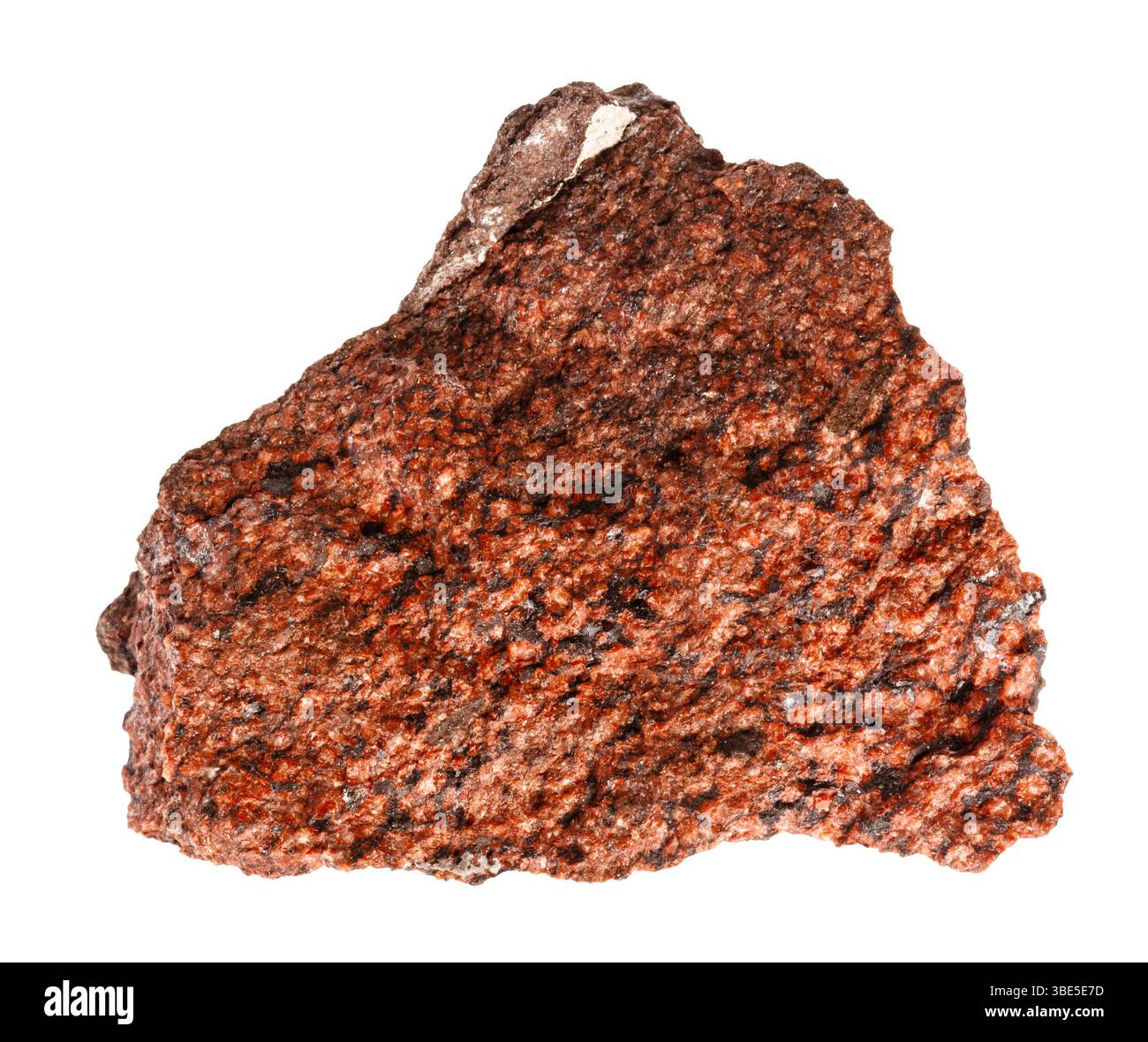 gros plan de l'échantillon de pierre naturelle de la collection géologique - minéral brut de tuf volcanique analcimolite isolé sur fond blanc Banque D'Images