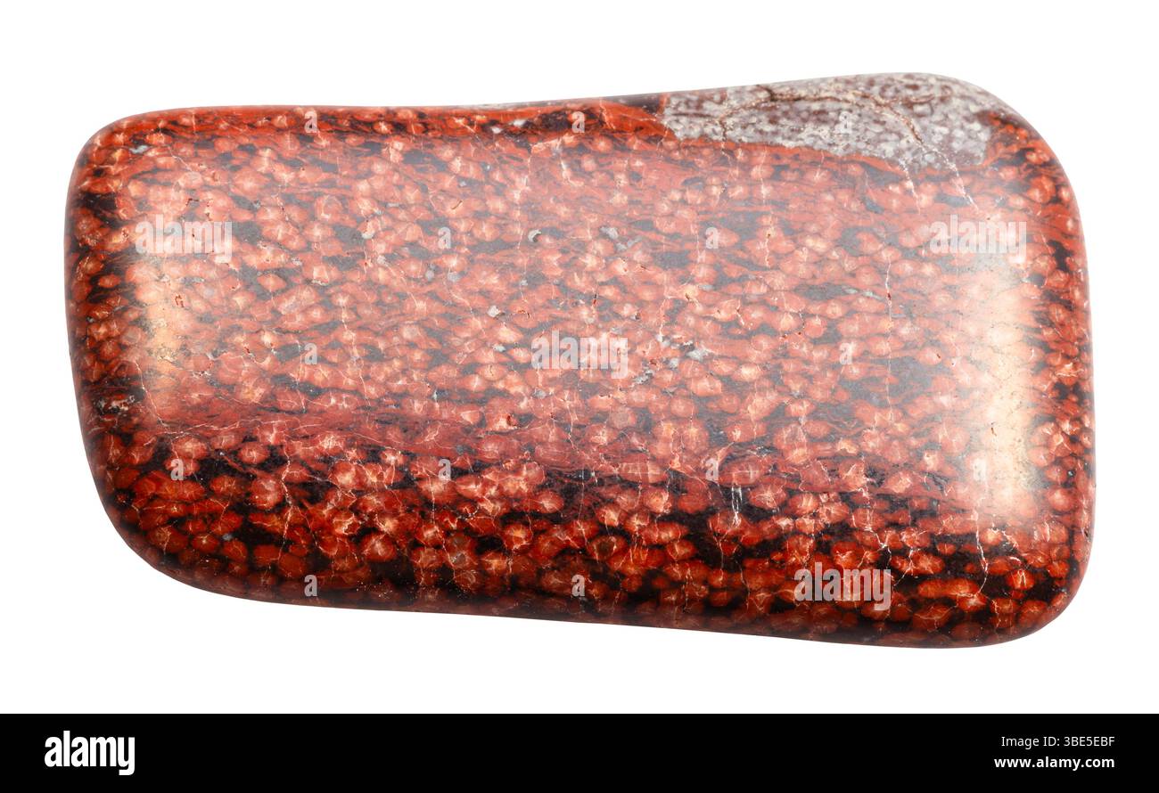 gros plan de l'échantillon de pierre naturelle de la collection géologique - tuf volcanique d'analcimolite tondé isolé sur fond blanc Banque D'Images