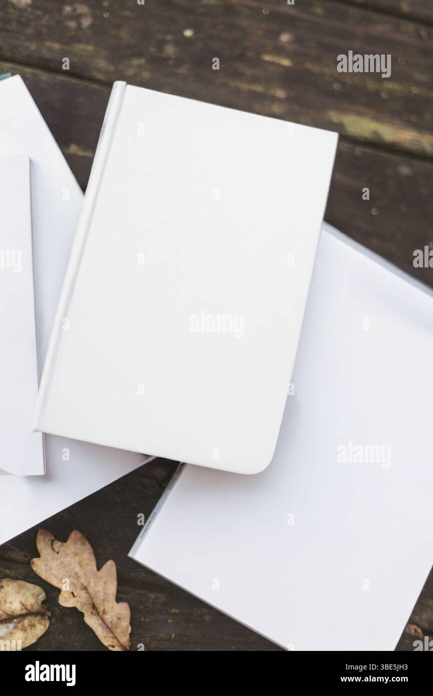 Une image harmonieuse de livres d'entraide reposant sur une surface en bois au milieu d'une forêt tranquille. L'environnement serein et les éléments naturels fournissent une ide Banque D'Images