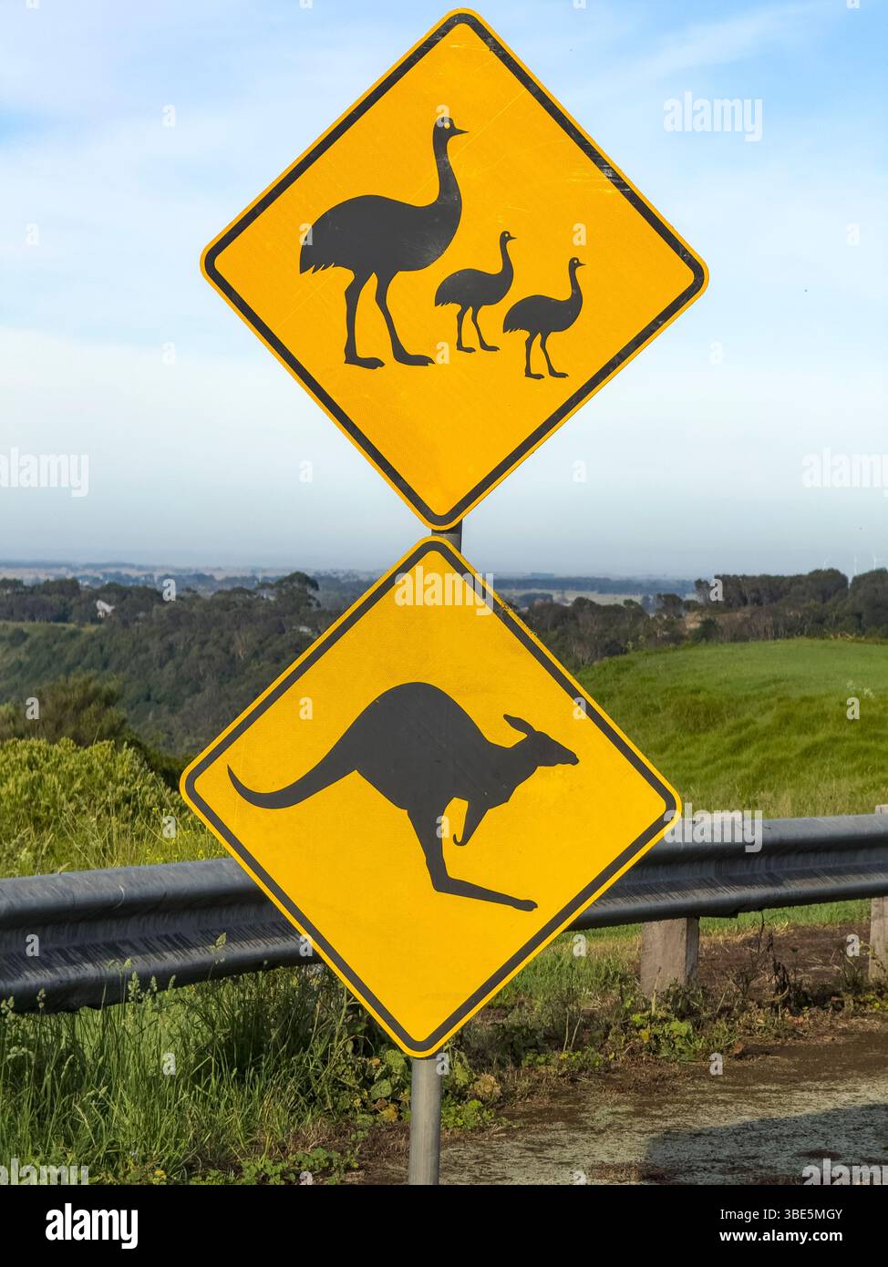 Deux panneaux jaunes en forme de losange représentant des silhouettes d'émeus et de kangourous avertissent les conducteurs de la présence d'animaux sauvages dans le pittoresque pays australien Banque D'Images