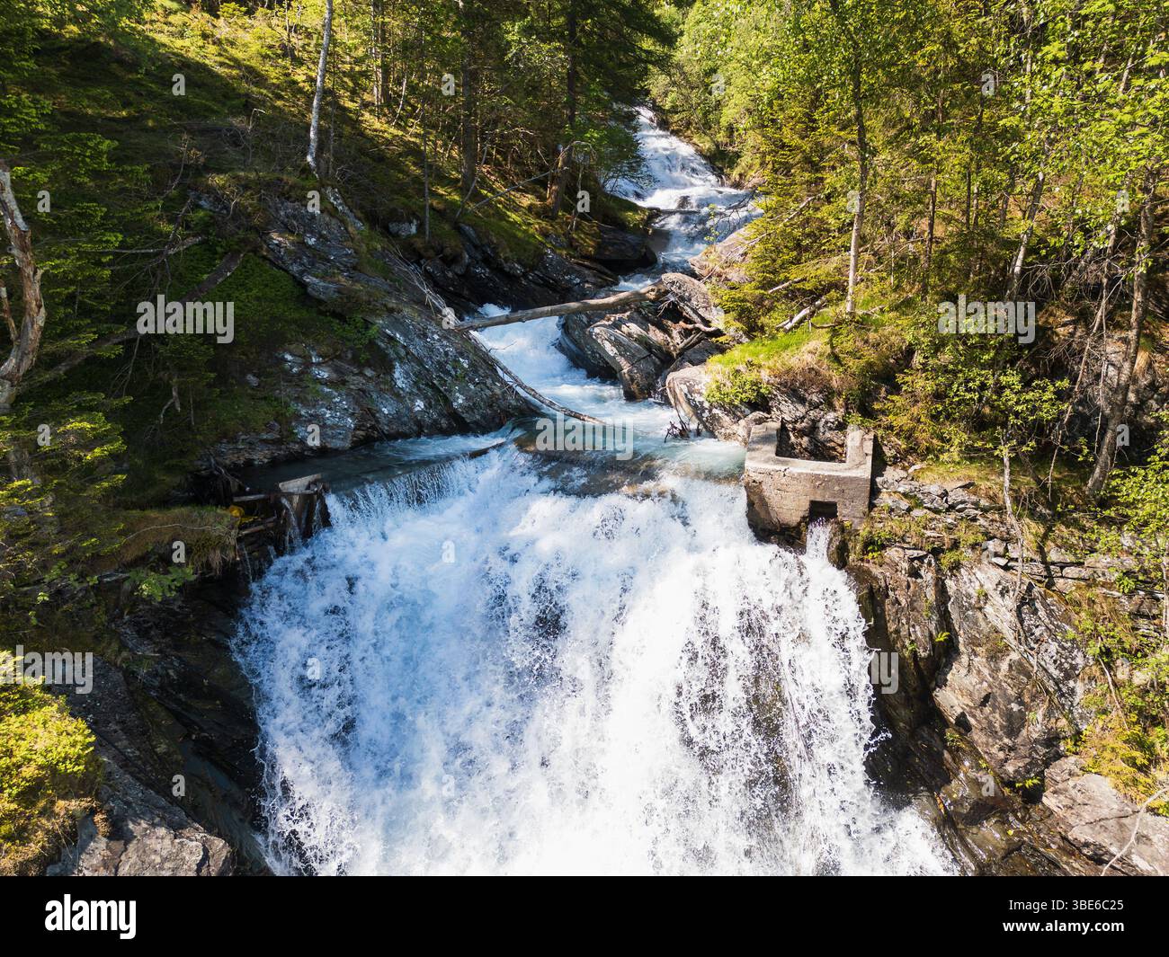 Une cascade pittoresque dans une forêt norvégienne, où une rivière de montagne limpide coule rapidement sur des pierres entourées d'une verdure vibrante. Banque D'Images