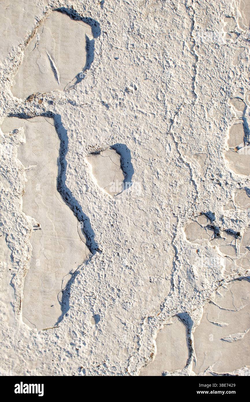 Peinture blanche sur la rue de près. Texture d'arrière-plan Banque D'Images