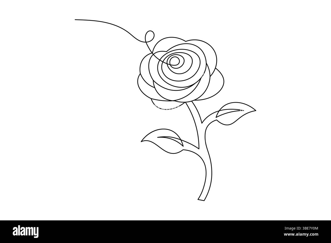 Fleur de rose dessin de ligne continue élégant une ligne Art d'une rose minimaliste. Vecteur Illustration de Vecteur