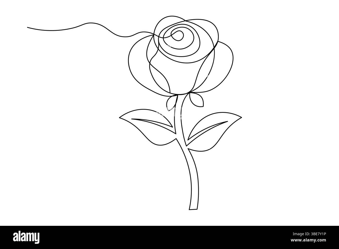 Fleur de rose dessin de ligne continue élégant une ligne Art d'une rose minimaliste. Vecteur Illustration de Vecteur