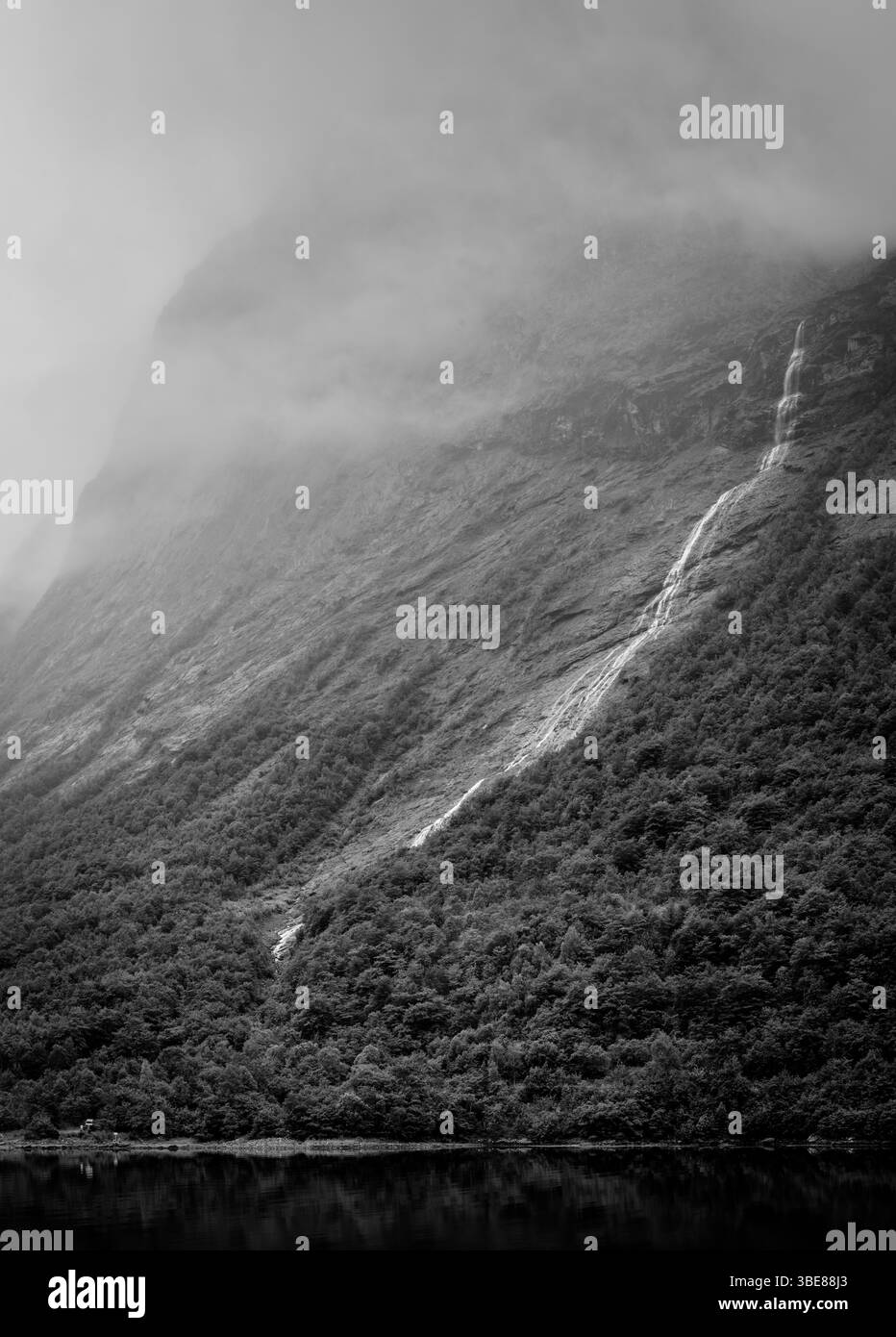Image verticale en noir et blanc d'une cascade coulant le long d'une montagne boisée en Norvège, enveloppée de brume et de nuages. Banque D'Images