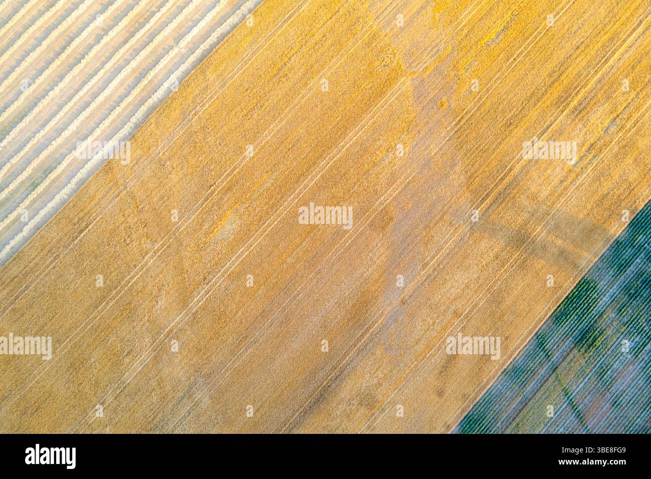 fond abstrait de champ labouré, perspective de drone de haut en bas Banque D'Images