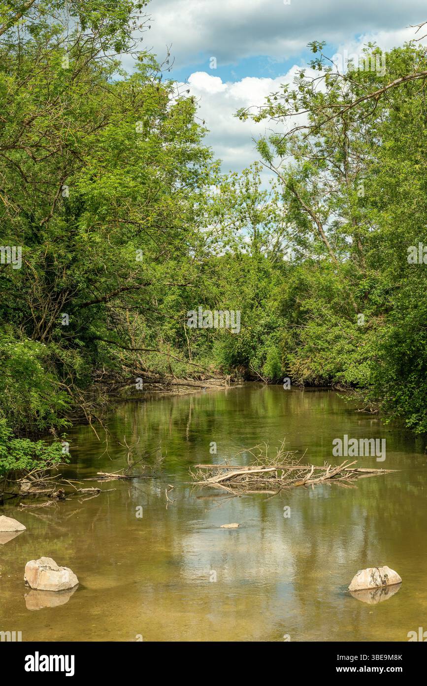 Branche renaturalisée de la Nidda à Francfort, Hesse, Allemagne Banque D'Images Branche renaturalisée de la Nidda à Francfort, Hesse, Allemagne Banque D'Images