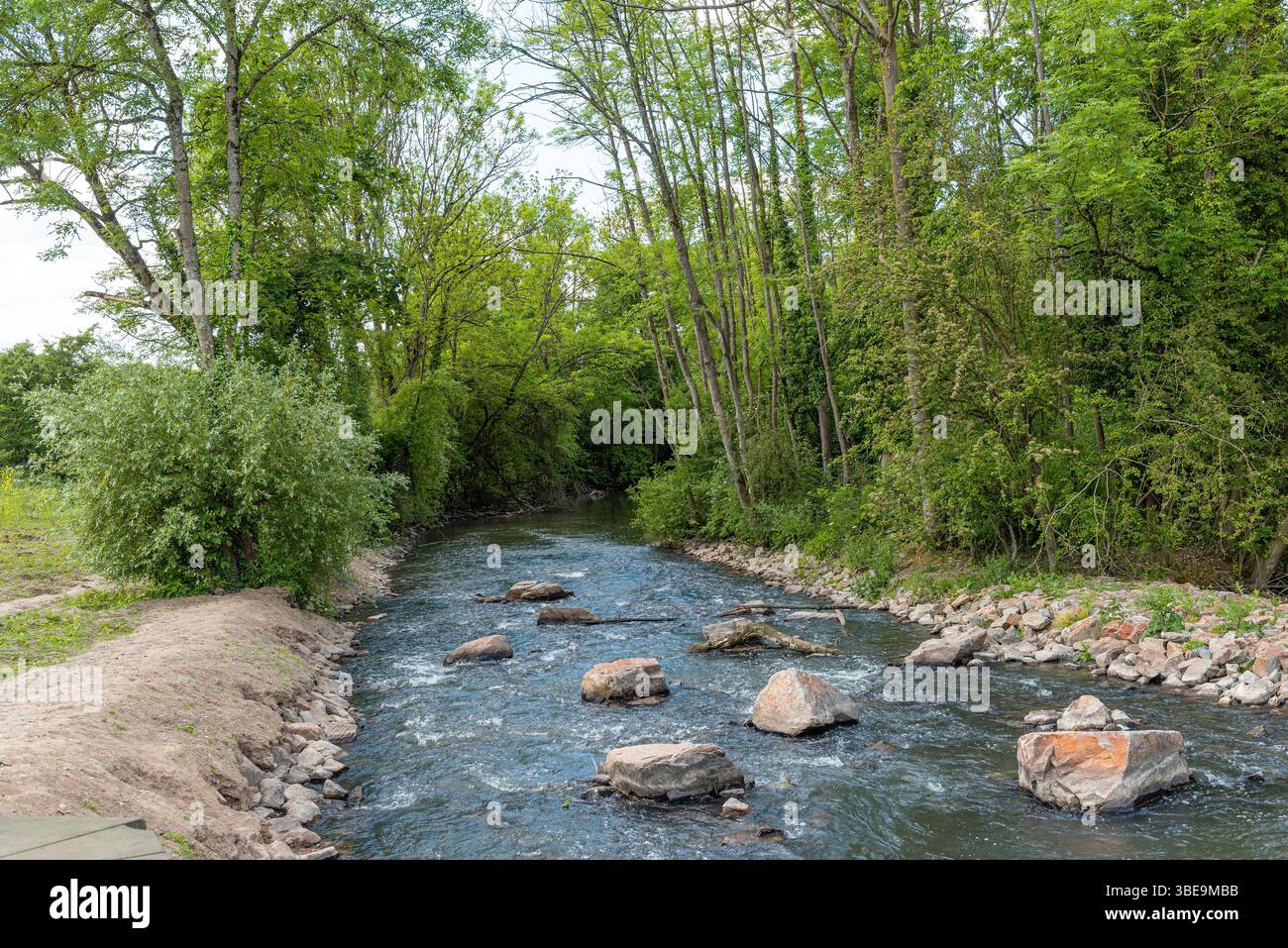 Branche renaturalisée de la Nidda à Francfort, Hesse, Allemagne Banque D'Images Branche renaturalisée de la Nidda à Francfort, Hesse, Allemagne Banque D'Images