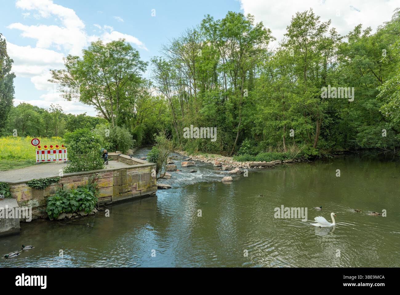 Branche renaturalisée de la Nidda à Francfort, Hesse, Allemagne Banque D'Images Branche renaturalisée de la Nidda à Francfort, Hesse, Allemagne Banque D'Images